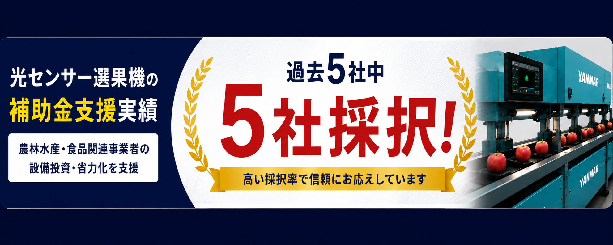 光センサー選果機 補助金支援 過去5社中5社採択